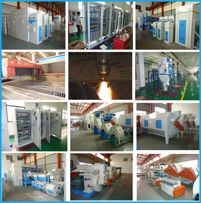 Stainless Steel Ring Die Compound Fertilizer Pellet Machine